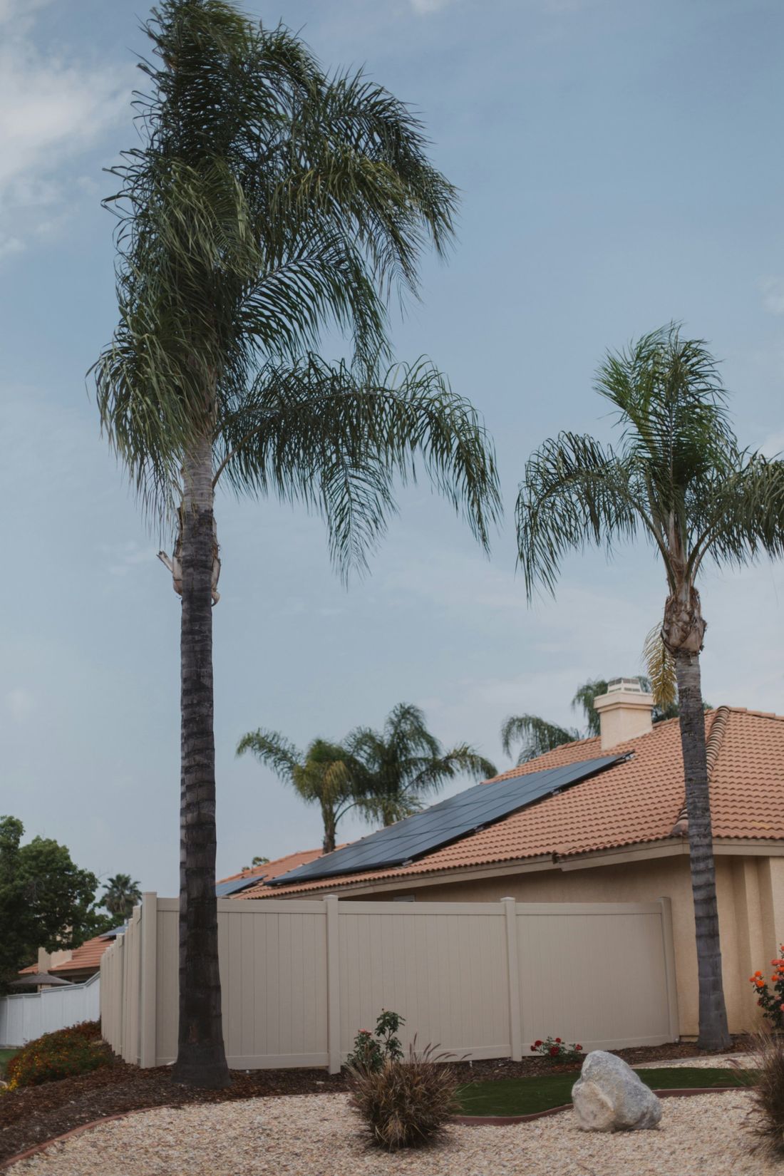 Home with black solar panels on a tile roof, framed by palm trees